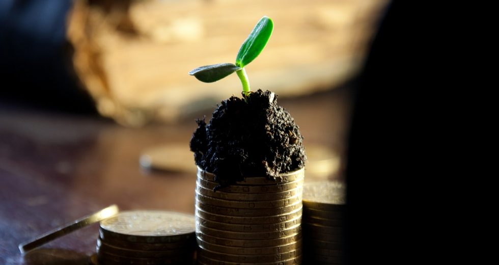 Geld- und Finanzanlagen mithilfe des Fondsranking
